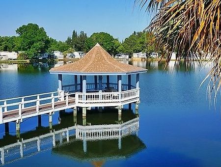 Winter Quarters Pasco Rv Resort - Campground Land O' Lakes Bagian luar foto